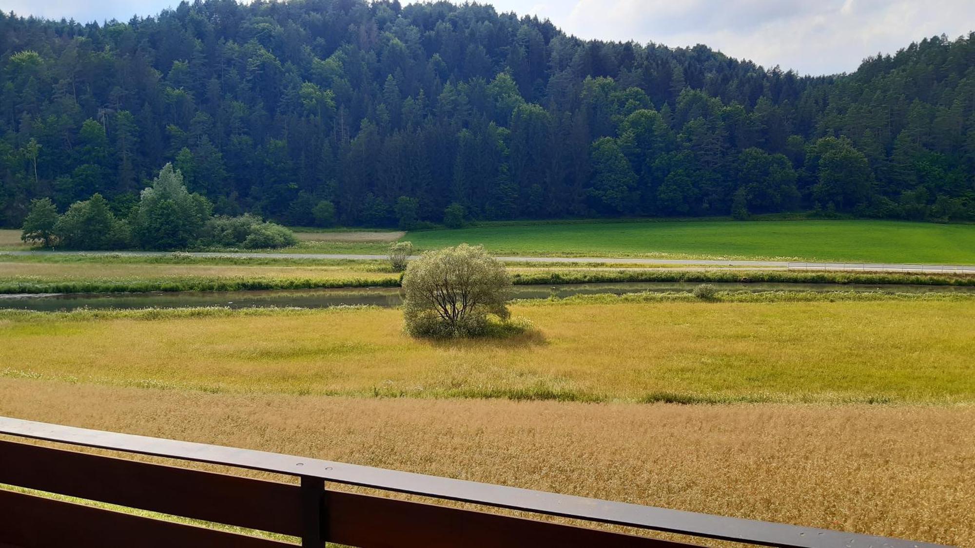 Waldpension Rabeneck Waischenfeld Exterior foto