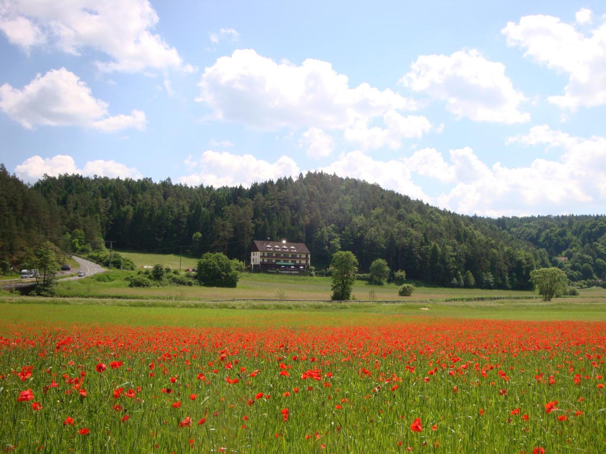 Waldpension Rabeneck Waischenfeld Exterior foto